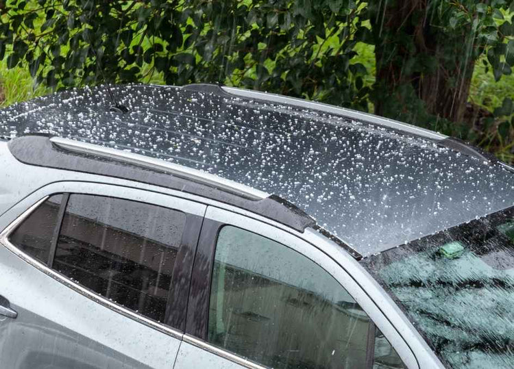 Can Pollen Damage Car Paint