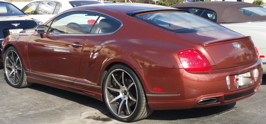 Rear Skirt Sport Line Style Extension Splitter For Bentley Continental 2008-2010