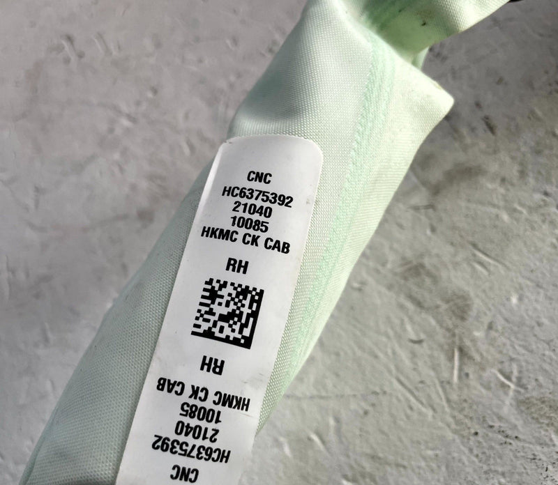 Load image into Gallery viewer, 2018 - 2023 KIA STINGER FRONT RIGHT PASSENGER SIDE CURTAIN ROOF AIRBAG # 110810
