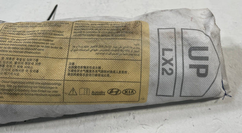 Load image into Gallery viewer, 2020-25 HYUNDAI PALISADE FRONT RIGHT PASSENGER SIDE SEAT AIRBAG AIR BAG # 111841
