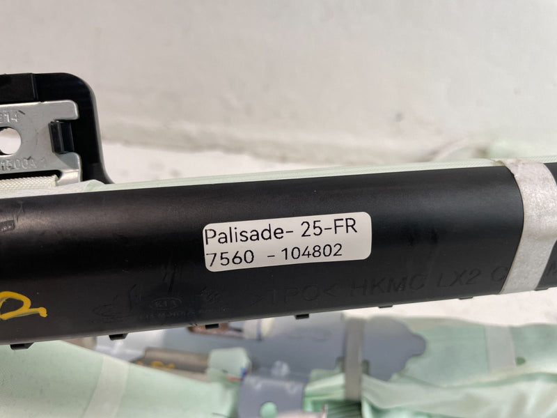 Load image into Gallery viewer, 2020-2025 HYUNDAI PALISADE RIGHT CURTAIN ROOF AIRBAG AIR BAG 80420-S8500 #104202
